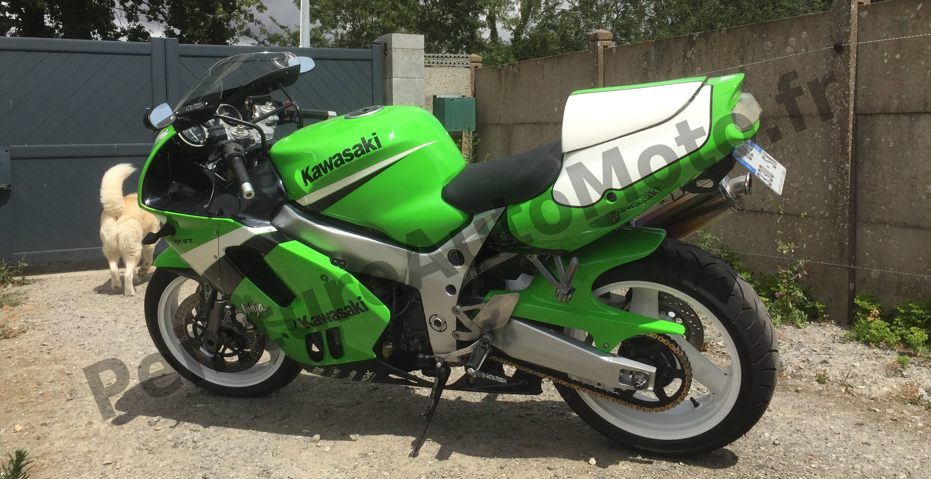 Moto Kawasaki peinte en Lime Green 777